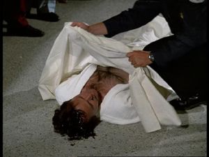 The Body Politic