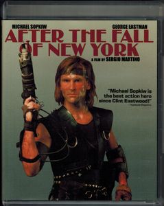 After The Fall Of New York