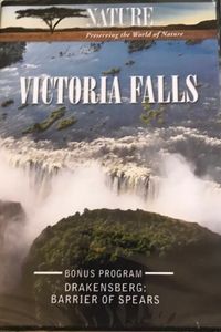 Nature - Victoria Falls