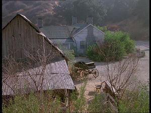 Coal Miner's Slaughter