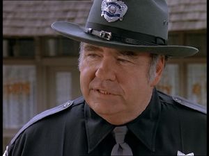 Hoyt Axton