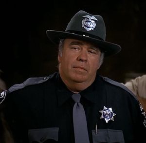 Hoyt Axton