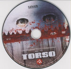 Torso