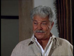Dale Robertson