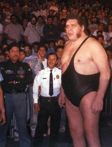 André The Giant