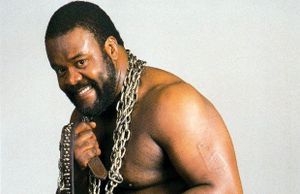 Junkyard Dog