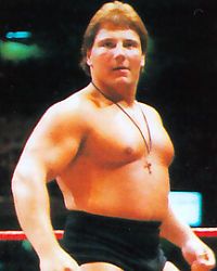 David Sammartino