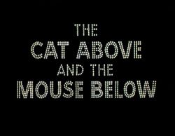 The Cat Above And The Mouse Below