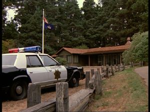 The Sins Of Castle Cove