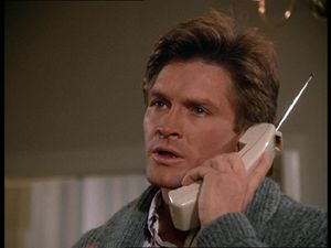 Andrew Stevens