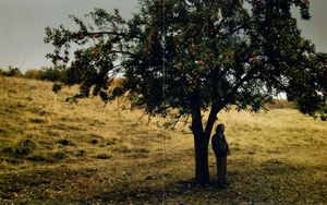 Once Upon A Time In Anatolia