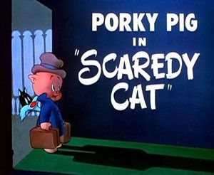Scaredy Cat