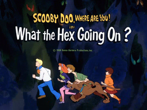 What The Hex Going On?
