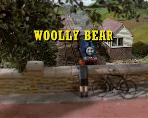 Woolly Bear