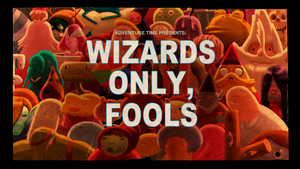 Wizards Only, Fools