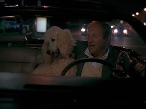 Jack And Bill
