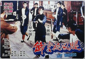 鐵掌旋風腿