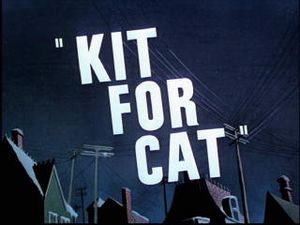 Kit For Cat