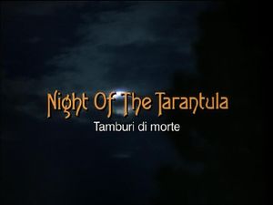Night Of The Tarantula