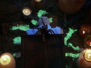 Night Of The Tarantula