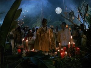 Night Of The Tarantula