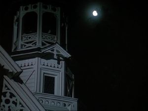 Night Of The Tarantula