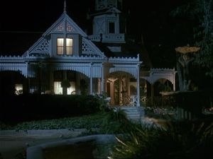 Night Of The Tarantula