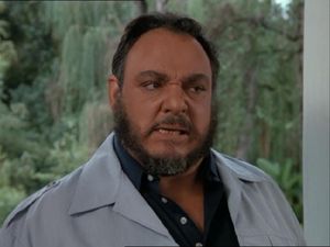 John Rhys-Davies