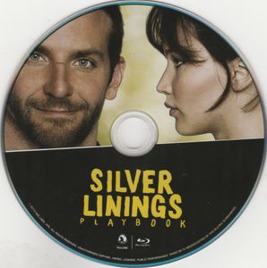 Silver Linings Playbok