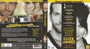 Silver Linings Playbok