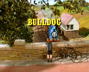Bulldog