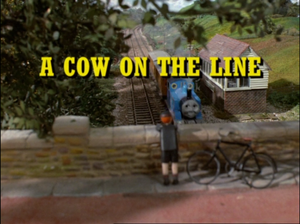 Cows