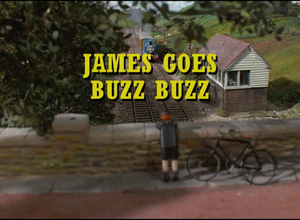 Buzz, Buzz