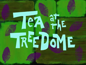 Tea At The Treedome