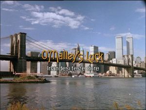 O'Malley's Luck