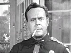 Don Shelton