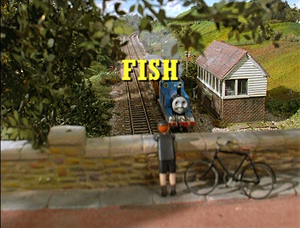 Fish