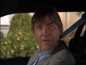 David Warner