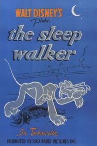 The Sleep Walker