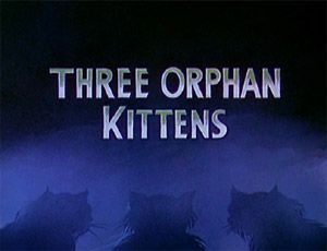 Three Orphan Kittens
