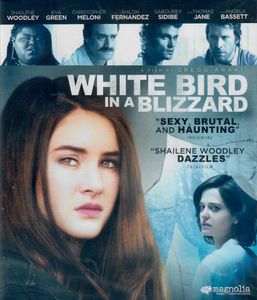 White Bird In A Blizzard