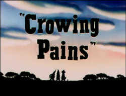 Crowing Pains