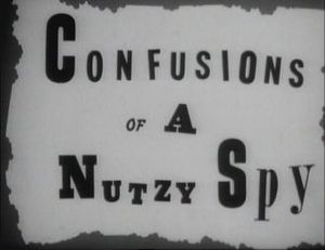 Confusions Of A Nutzy Spy
