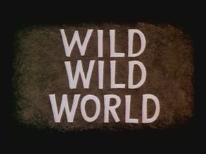 Wild Wild World