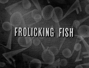 Frolicking Fish