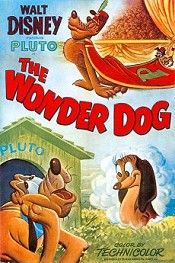 Wonder Dog