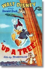 Up A Tree