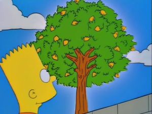 Lemon Of Troy