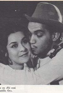 Dolores Camarillo