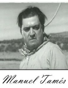 Manuel Tamés